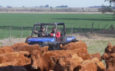 Comercial POLARIS para Tierras Argentinas